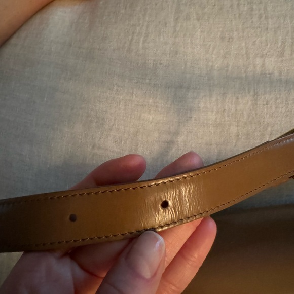 CELINE CLASSIQUE TRIOMPHE BAG IN SHINY CALFSKIN IN BRONZE - Picture 9 of 12